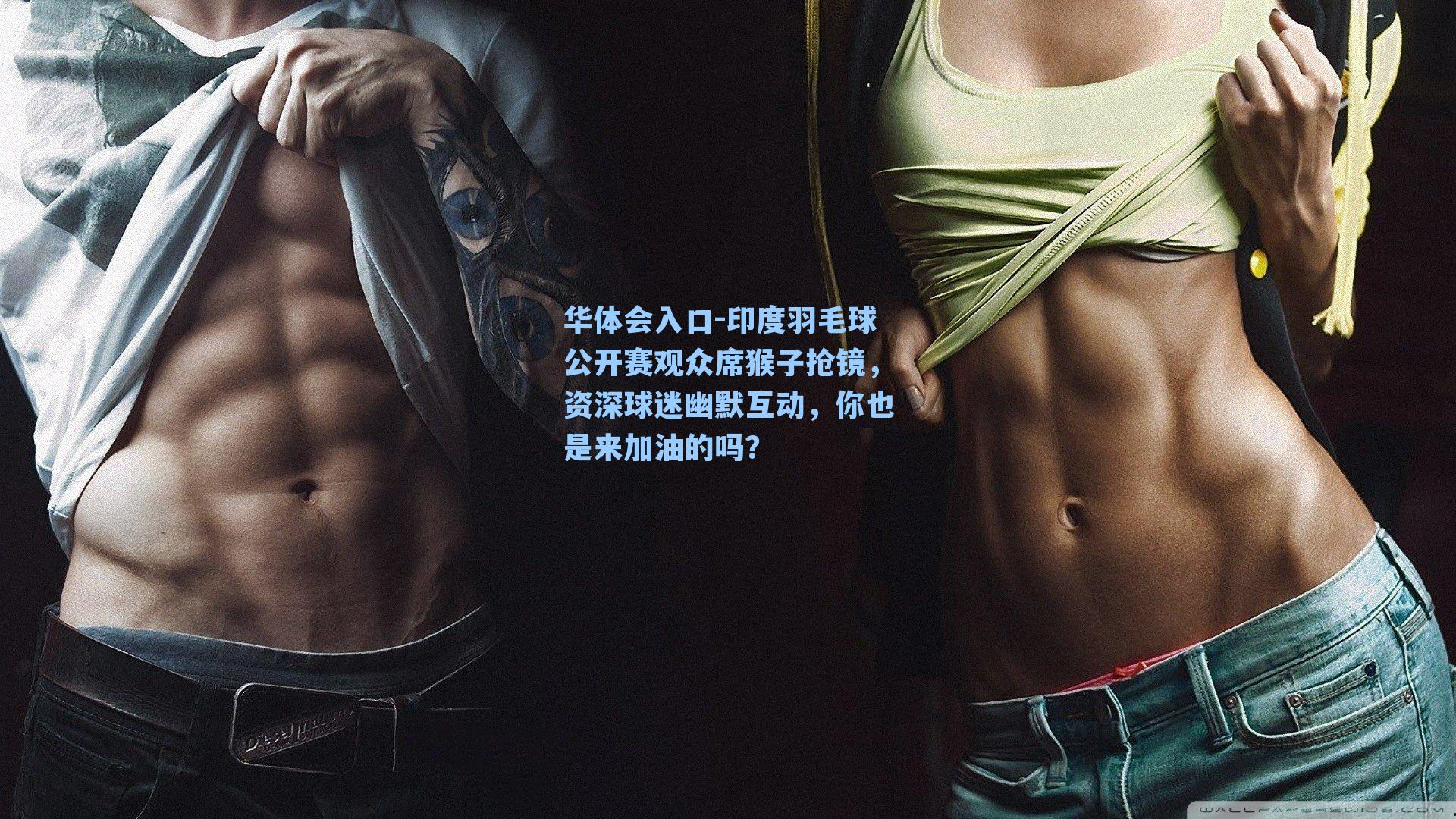 华体会入口-印度羽毛球公开赛观众席猴子抢镜，资深球迷幽默互动，你也是来加油的吗？