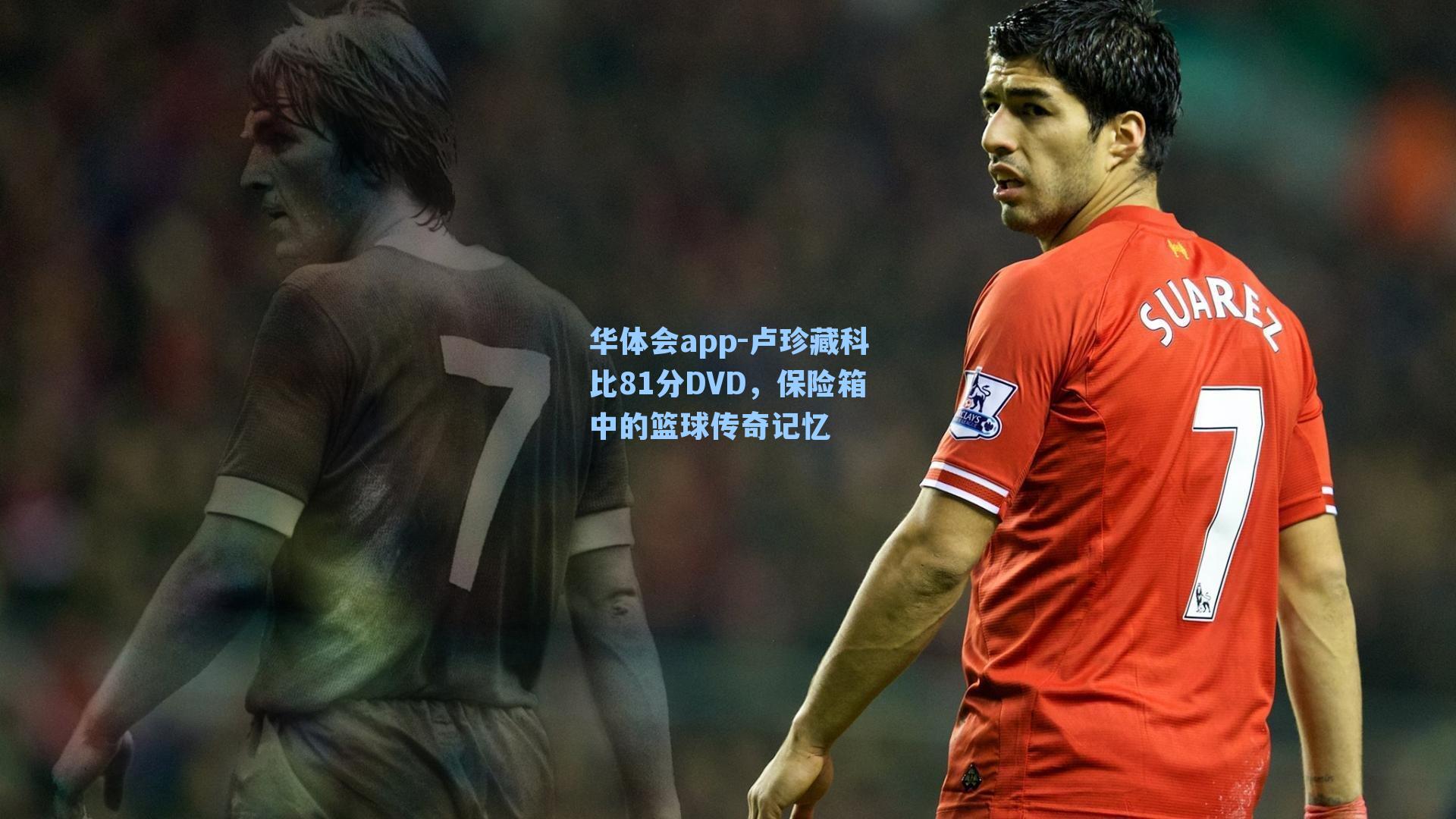 卢珍藏科比81分DVD，保险箱中的篮球传奇记忆